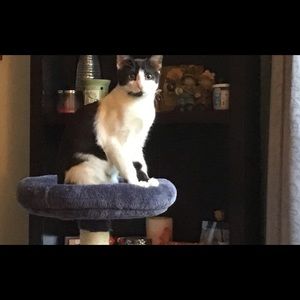 Meet your Posher, Dawn